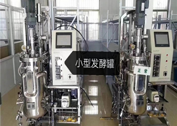 發(fā)酵罐的發(fā)酵過程有哪些操作要點(diǎn)呢？